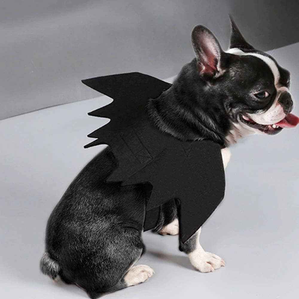Halloween pet prop bat wings-Casual Fashion - The Artisan's Wardrobe