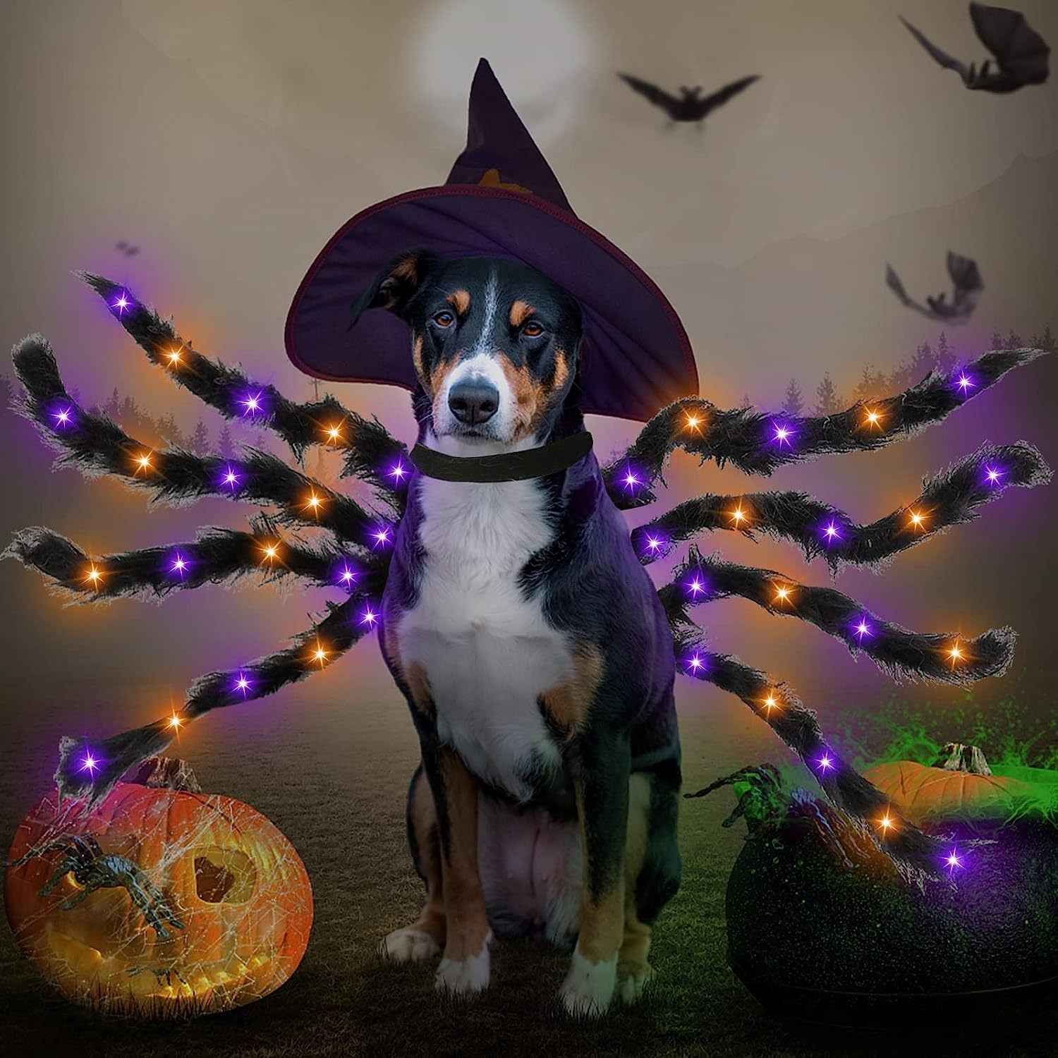 Halloween pet prop bat wings-Casual Fashion - The Artisan's Wardrobe