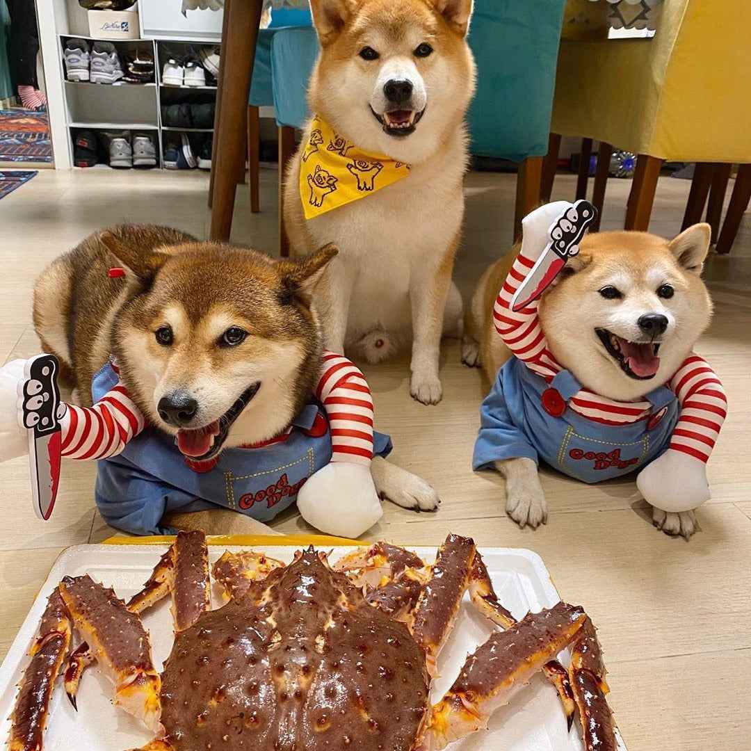 Halloween Dog Costume Knife Doll for Small and Medium-Sized Dogs - Funny Transformation-Casual Fashion - The Artisan's Wardrobe