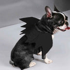 Halloween pet prop bat wings-Casual Fashion - The Artisan's Wardrobe