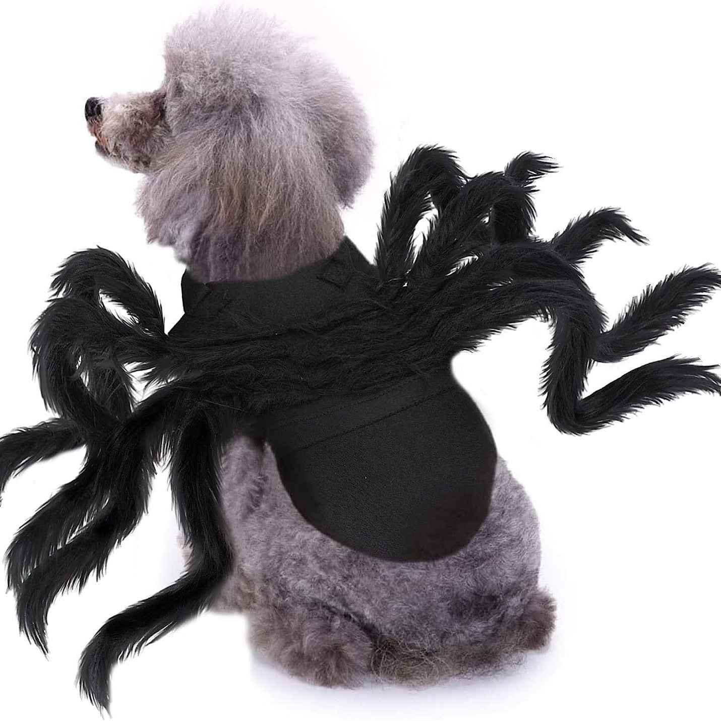 Halloween pet prop bat wings-Casual Fashion - The Artisan's Wardrobe