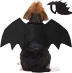 Halloween pet prop bat wings-Casual Fashion - The Artisan's Wardrobe