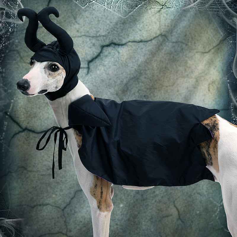 Halloween Dog Cloak with Hat Sleeping Curse Female Cloak Cat Hat Pet Clothing-Casual Fashion - The Artisan's Wardrobe