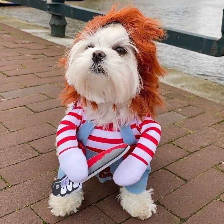 Halloween Dog Costume Knife Doll for Small and Medium-Sized Dogs - Funny Transformation-Casual Fashion - The Artisan's Wardrobe