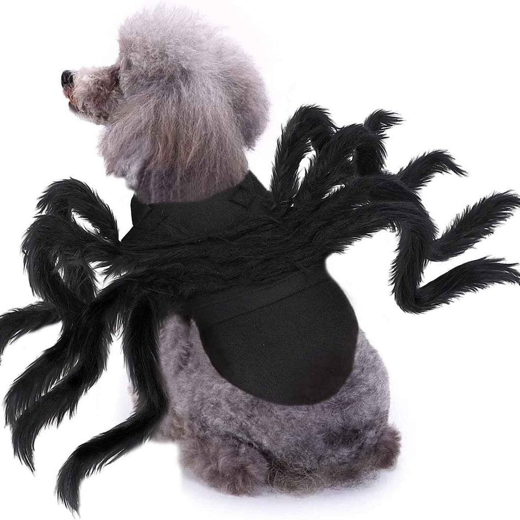 Halloween pet prop bat wings-Casual Fashion - The Artisan's Wardrobe
