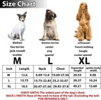 Halloween pet prop bat wings-Casual Fashion - The Artisan's Wardrobe